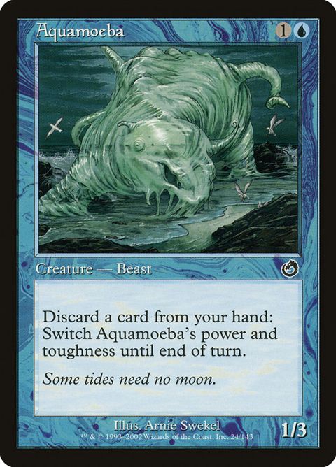 24-aquamoeba