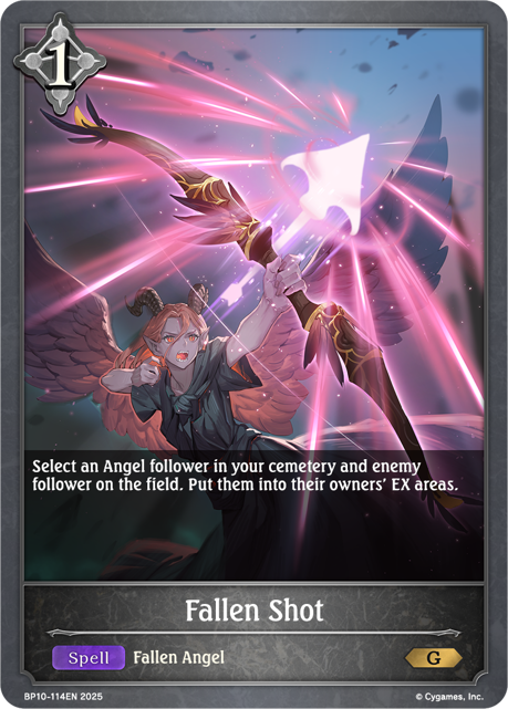 Fallen Shot