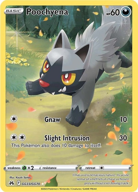 gg33/gg70-poochyena