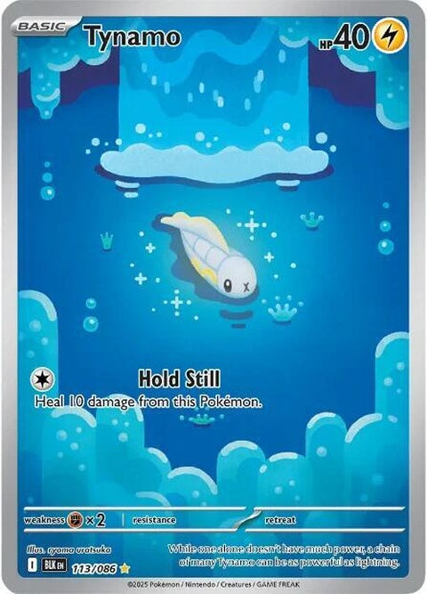 113-tynamo