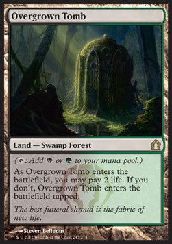 Overgrown Tomb⁣ - Return to Ravnica⁣ (Rare)⁣ [243]