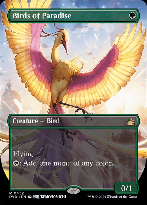 432-birdsofparadise