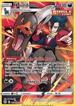 Houndoom⁣ - Brilliant Stars⁣ (Holo Rare)⁣ [TG10]