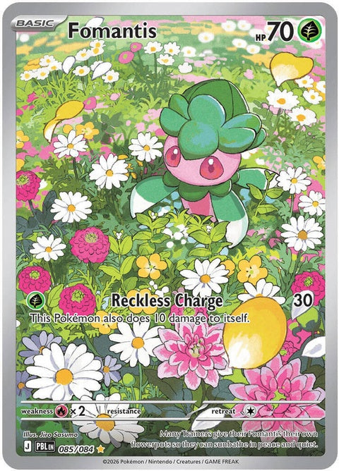85-fomantis