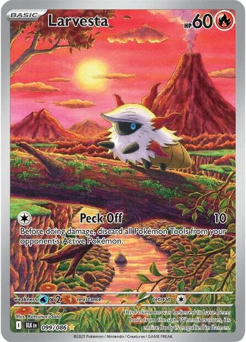99-larvesta