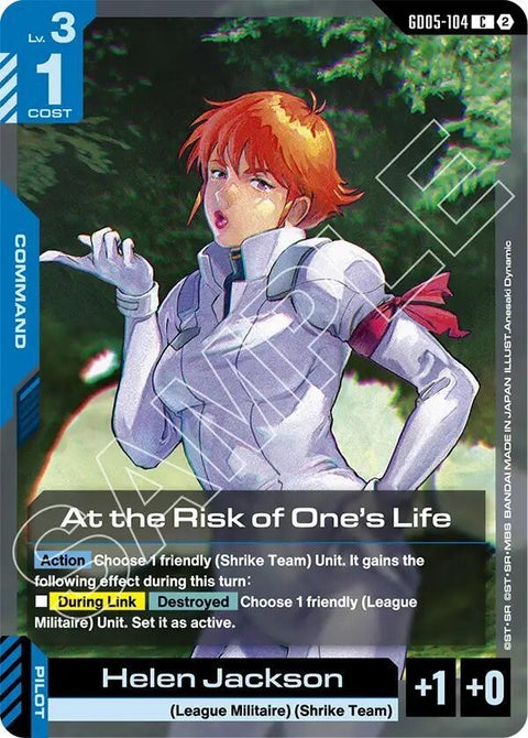 gd05-104-attheriskofoneslife
