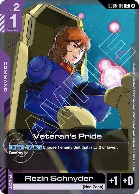 gd05-116-veteranspride