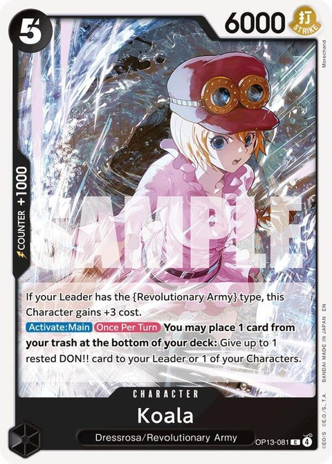 op13-081-koala