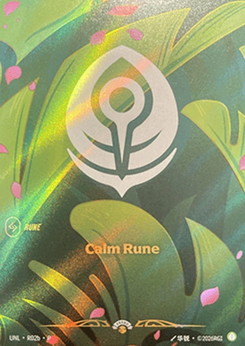 r02b-calmruner02b