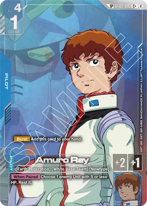 st01-010-amuroraycsp