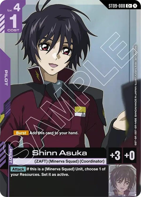 st09-008-shinnasukac