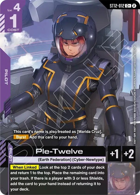st12-012-pletwelvec